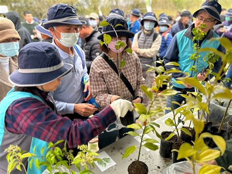 福樹開花|臺灣原生樹木推廣及媒合平臺